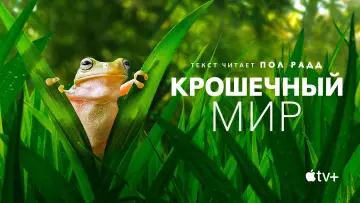 Задник к сериалу "Крошечный мир" #1505901