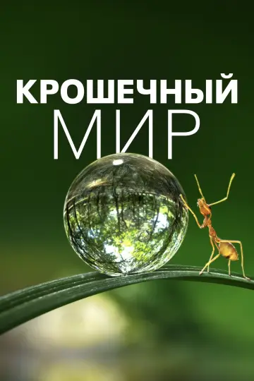 Постер к сериалу "Крошечный мир" #1505915