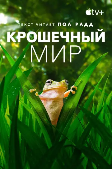 Постер к сериалу "Крошечный мир" #1505922