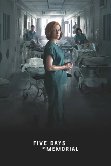 Постер к сериалу "Пять дней после катастрофы" #1462687