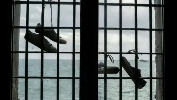 Задник к сериалу "Море Свободы" #1398388