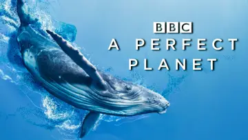 Задник к сериалу "BBC. Идеальная планета" #1605214