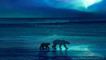 Задник к сериалу "BBC: Замерзшая планета 2" #1796328
