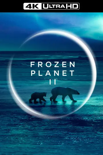 Постер к сериалу "BBC: Замерзшая планета 2" #1796337