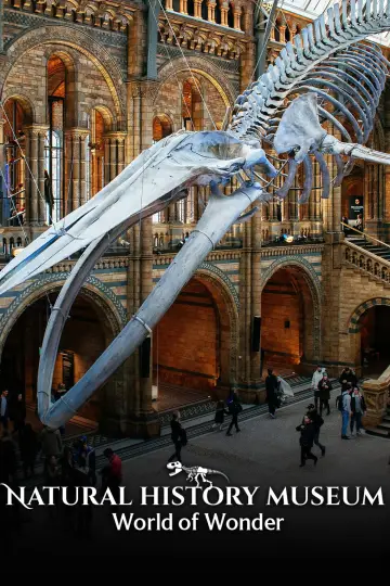 Natural History Museum: World of Wonder постер