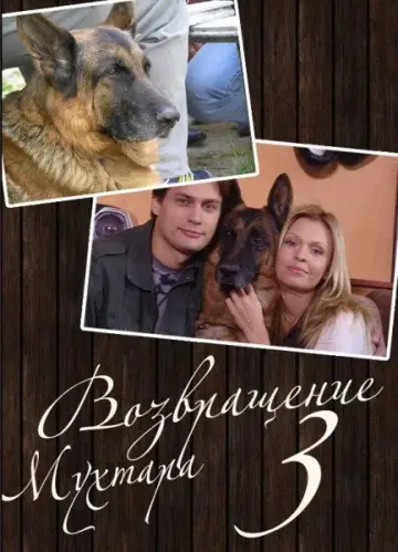 Сезон 3