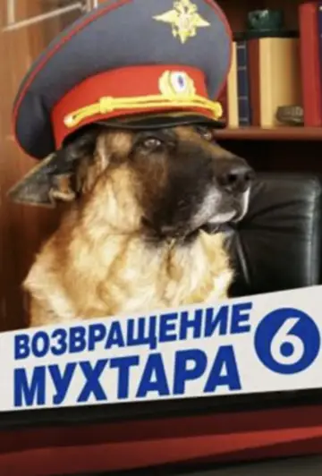 Сезон 6