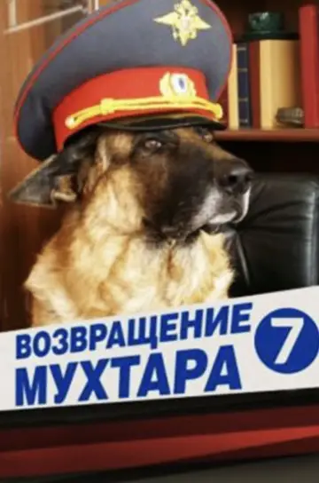 Сезон 7