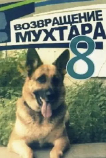 Сезон 8