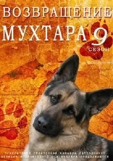 Сезон 9