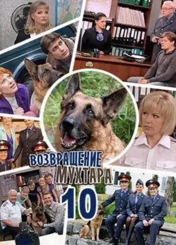 Сезон 10