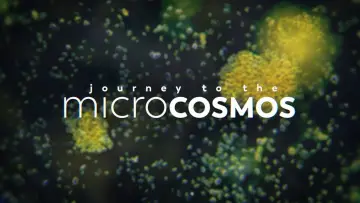 Задник к сериалу "Journey to the Microcosmos" #1562695