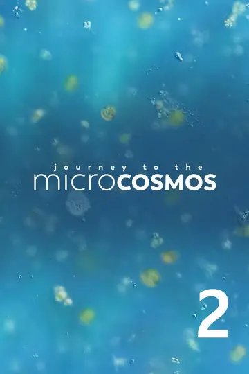 Сезон 2