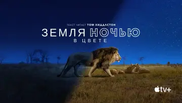 Задник к сериалу "Земля ночью в цвете" #1417618
