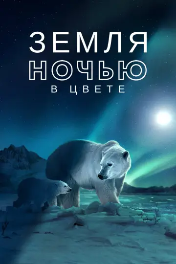Земля ночью в цвете (2020)