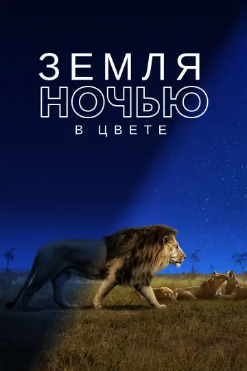 Постер к сериалу "Земля ночью в цвете" #1417636