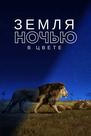 Постер к сериалу "Земля ночью в цвете" #1417640