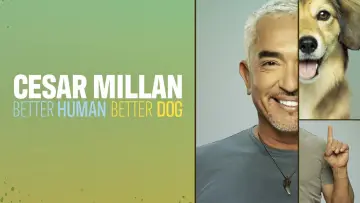 Задник к сериалу "Cesar Millan: Better Human, Better Dog" #1488565