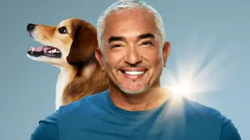 Задник к сериалу "Cesar Millan: Better Human, Better Dog" #1488566