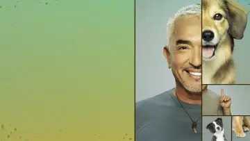Задник к сериалу "Cesar Millan: Better Human, Better Dog" #1488567
