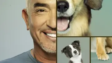 Задник к сериалу "Cesar Millan: Better Human, Better Dog" #1488568