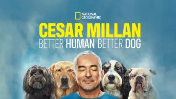 Задник к сериалу "Cesar Millan: Better Human, Better Dog" #1488571