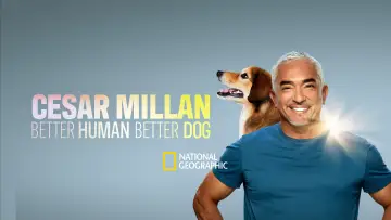 Задник к сериалу "Cesar Millan: Better Human, Better Dog" #1488573
