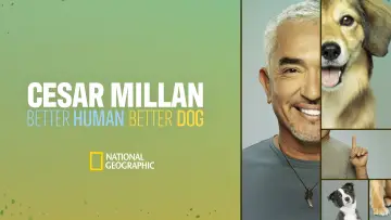 Задник к сериалу "Cesar Millan: Better Human, Better Dog" #1488574