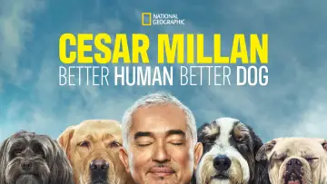Задник к сериалу "Cesar Millan: Better Human, Better Dog" #1488575
