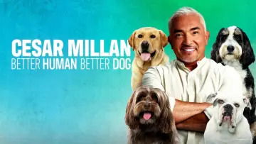 Задник к сериалу "Cesar Millan: Better Human, Better Dog" #1488577