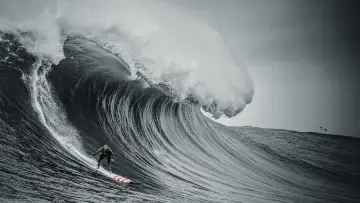 Задник к сериалу "100 Foot Wave" #1502551