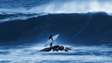 Задник к сериалу "100 Foot Wave" #1502554