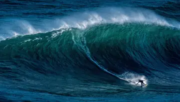 Задник к сериалу "100 Foot Wave" #1502558
