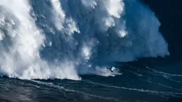 Задник к сериалу "100 Foot Wave" #1502566