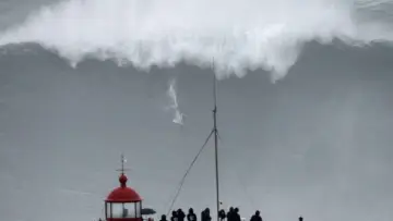 Задник к сериалу "100 Foot Wave" #1502568