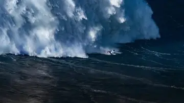 Задник к сериалу "100 Foot Wave" #1502569