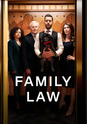 Постер к сериалу "Семейная юрфирма" #1395606