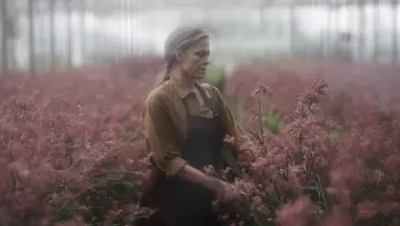 Задник к сериалу "Потерянные цветы Элис Харт" #1809910