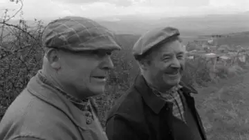 Задник к сериалу "Скорбь и жалость" #1830001