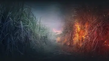 Задник к сериалу "Рейка" #1868350