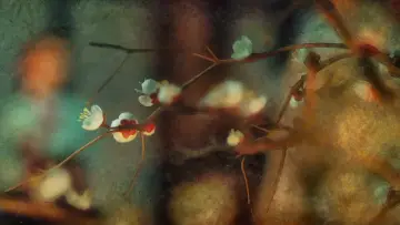 Задник к сериалу "Красная манжета" #1819334