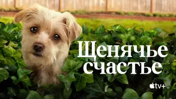 Задник к сериалу "Щенячье счастье" #1430294