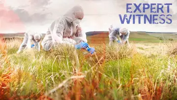Задник к сериалу "Expert Witness" #1602507