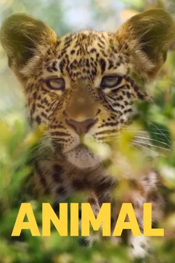Постер к сериалу "Удивительные животные" #1833774