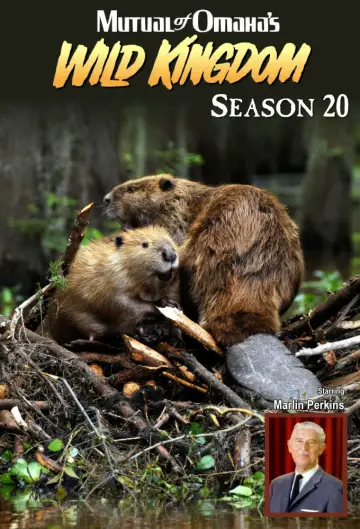 Сезон 20