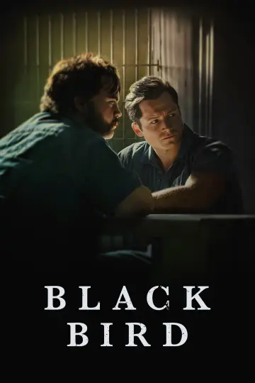 Постер к сериалу "Черная птица" #1383711