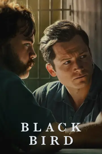 Постер к сериалу "Черная птица" #1383715