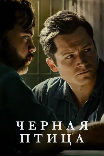 Черная птица (2022)