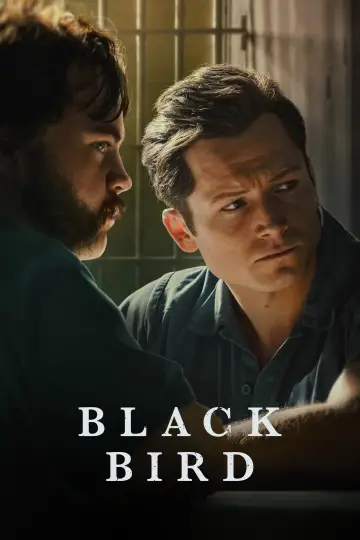 Постер к сериалу "Черная птица" #1383729