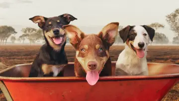 Задник к сериалу "Muster Dogs" #1609055